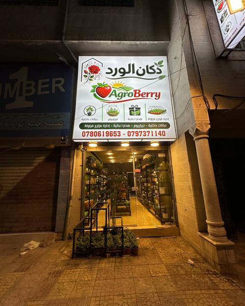 AgroBerry storefront at night