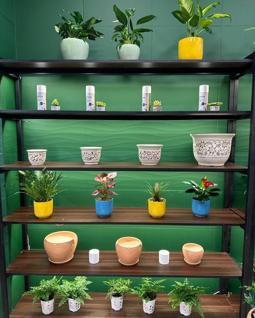 Plant display shelves